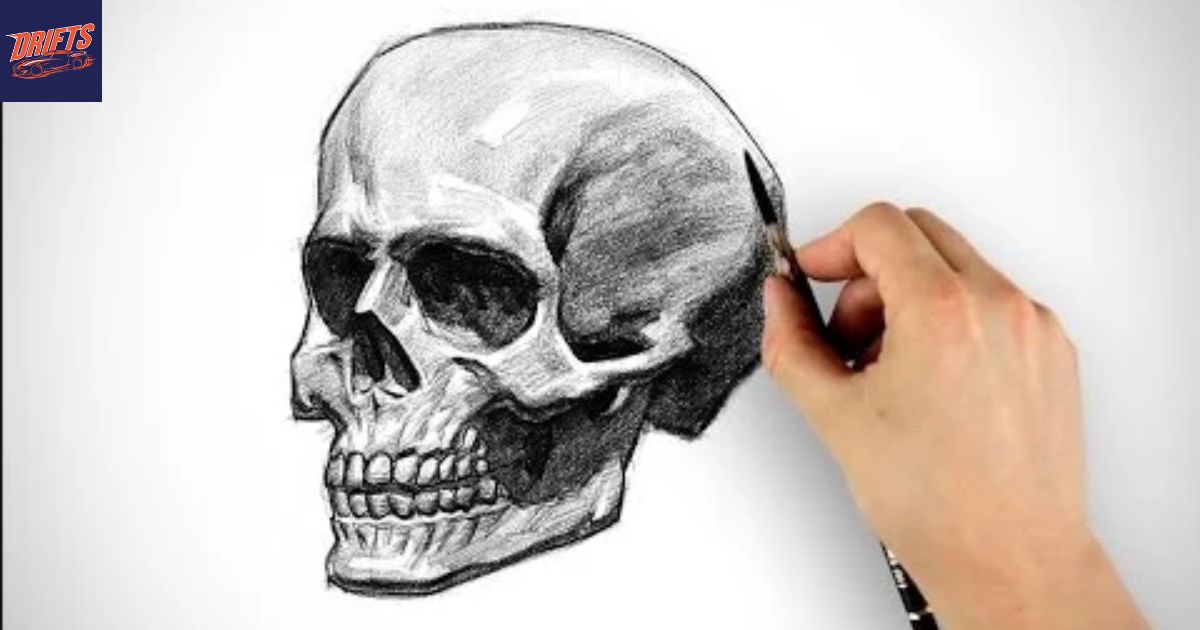 Mastering the Art of Drawingoldj_7nsvxk= Skull